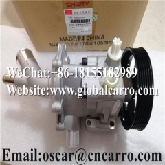 04693090AH For Chery Power Steering Pump and Water Pump